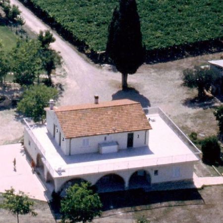 Agriturismo Torre Mannella - La Loggia Citta Sant'Angelo Εξωτερικό φωτογραφία