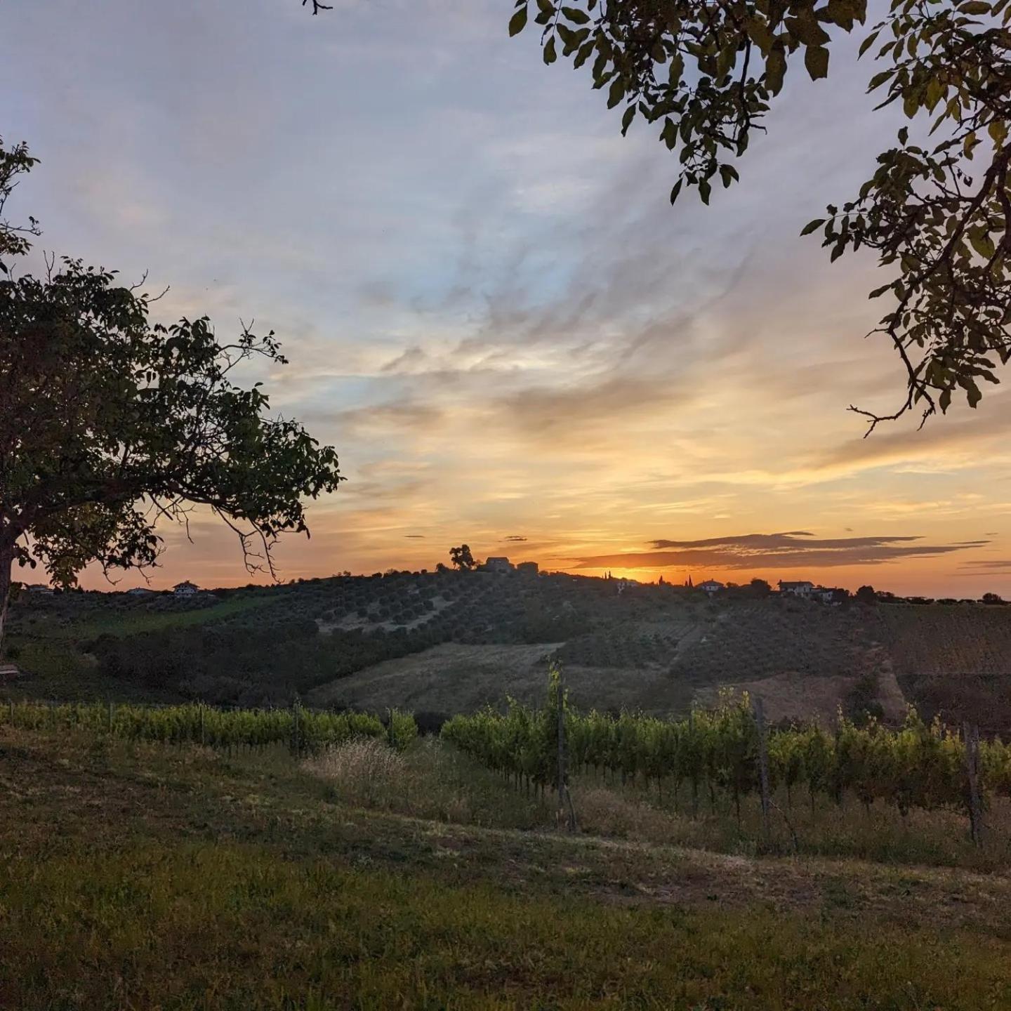 Agriturismo Torre Mannella - La Loggia Citta Sant'Angelo Εξωτερικό φωτογραφία